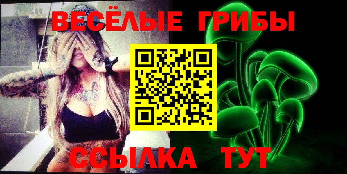Псилоцибиновые грибы Psilocybe Зеленогорск