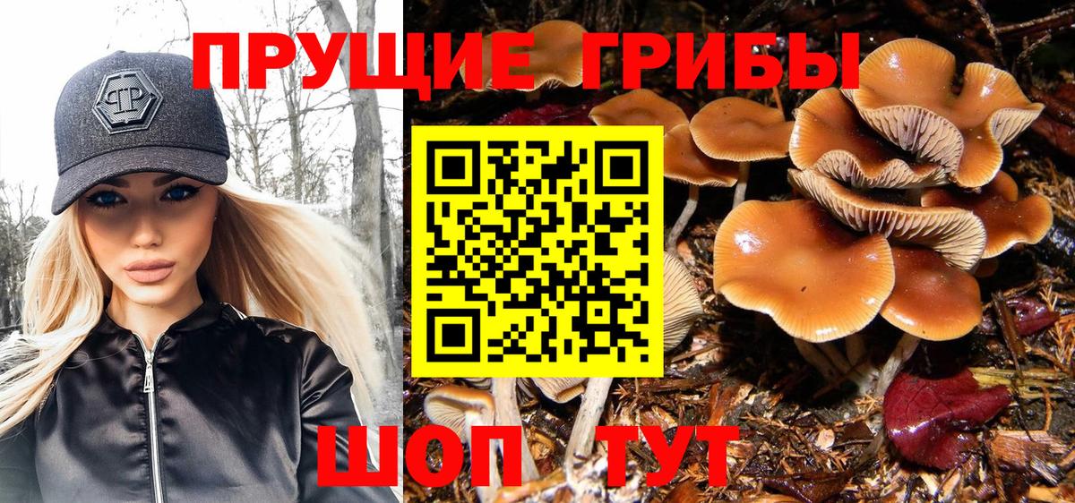 Зеленогорск  Галлюциногенные грибы мухоморы  Вход с VPN 